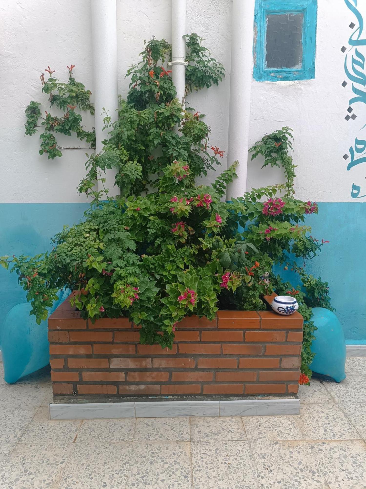 Dar Hkaiem Hotel Hammam Sousse Kültér fotó